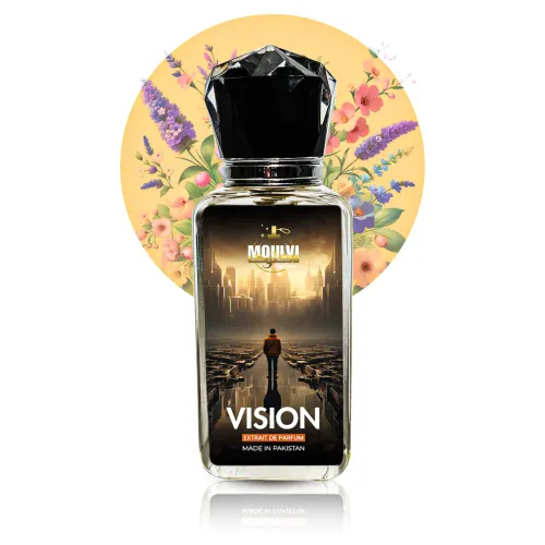 Thumbnail for VISION - Image 1